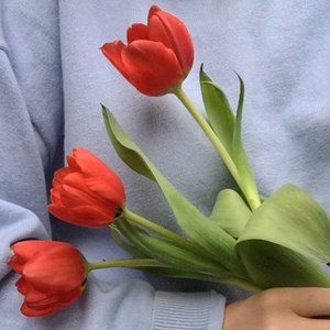 Meet your Posher, Caroline